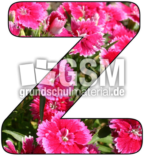 Deko-Buchstaben-Blumen_Z.jpg